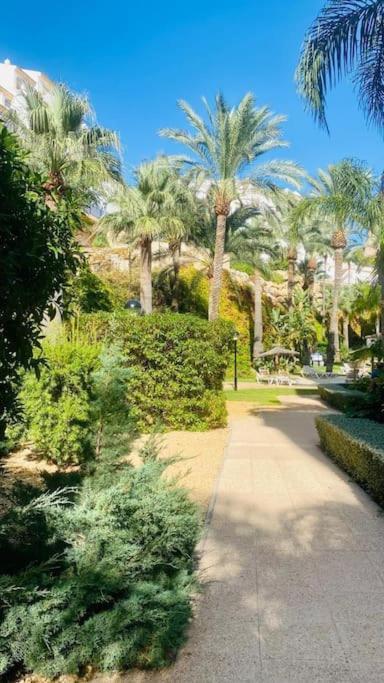 Casa Mattina Mascarat Apartment อัลเตอา ภายนอก รูปภาพ